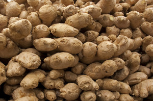 Ginger As Effective As Drug for Migraine Ginger As Effective As Drug for Migraine