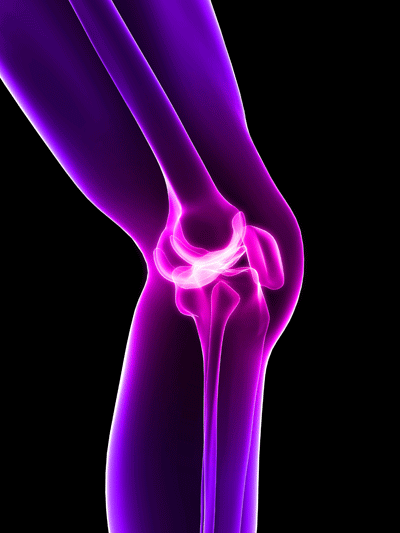 New Knee Ligament Discovered- Chiropractic News