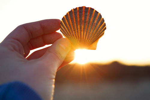 Vitamin D Soothes Fibromyalgia