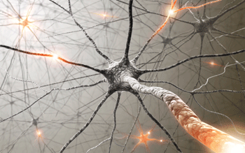 Fibromyalgia Nerve Fiber Neuropathy 