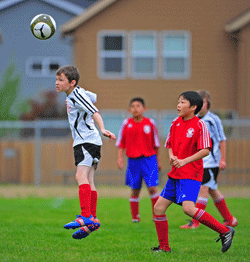 How Chiropractors Can Help Sports Concussions