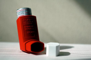 Photo by NIAD via Creative Commons