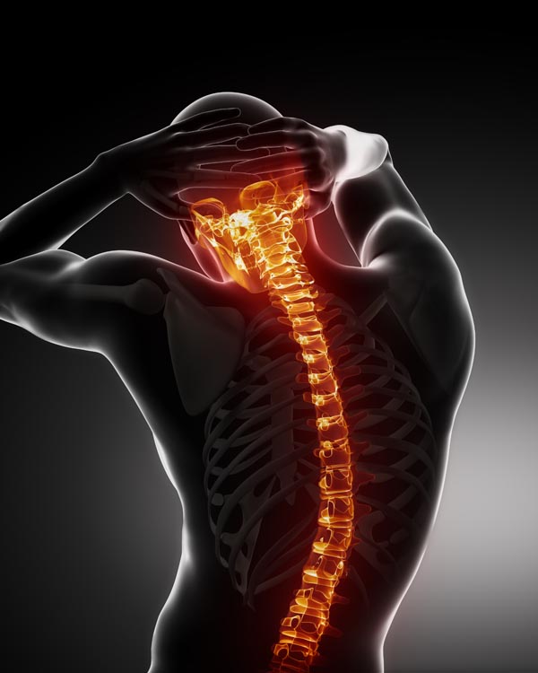 Chiropractic Provides Quick Recovery in Spinal Degeneration Patients Chiropractic News by