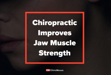 ChiroNexus - Chiropractic Improves Jaw Muscle Strength - Featured Image